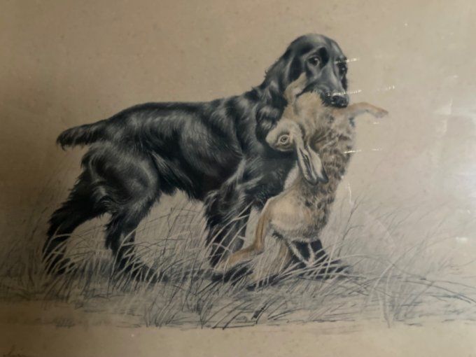 Léon DANCHIN, chien de chasse et lièvre.  VENDU 