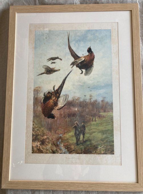 Gravure de Thomas Blinks. Pheasant Shooting 