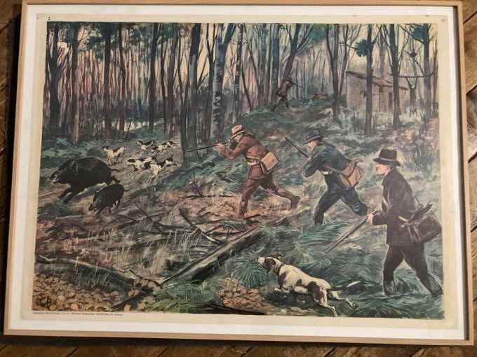 Affiche pédagogique chasse