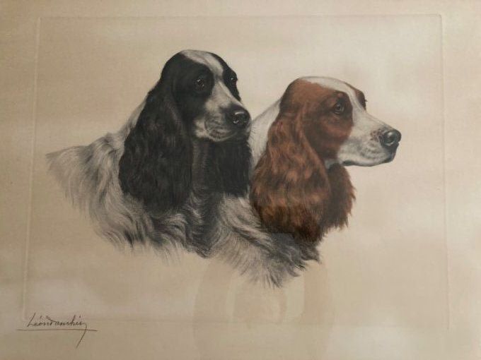 Leon Danchin,  2 chiens VENDU 